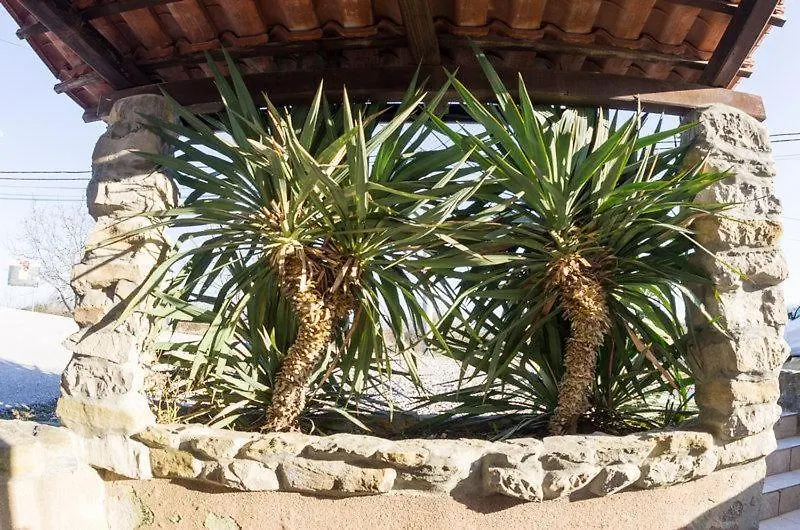 Holiday House Rea With Bbq And Two Terrace Sveti Donat Kroatien